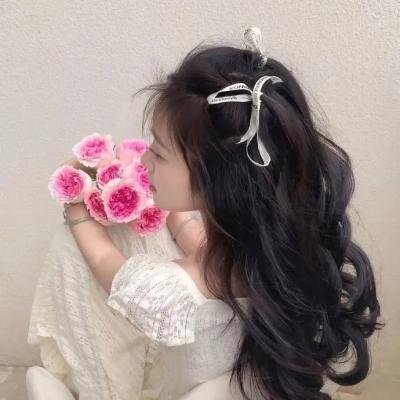 金甲风暴