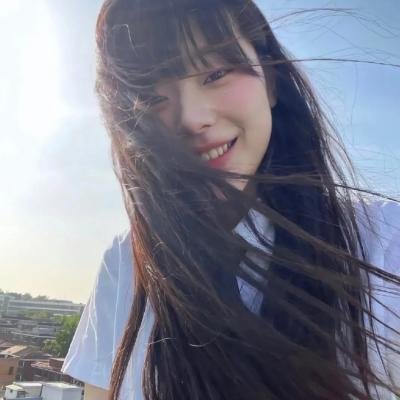 海龟们